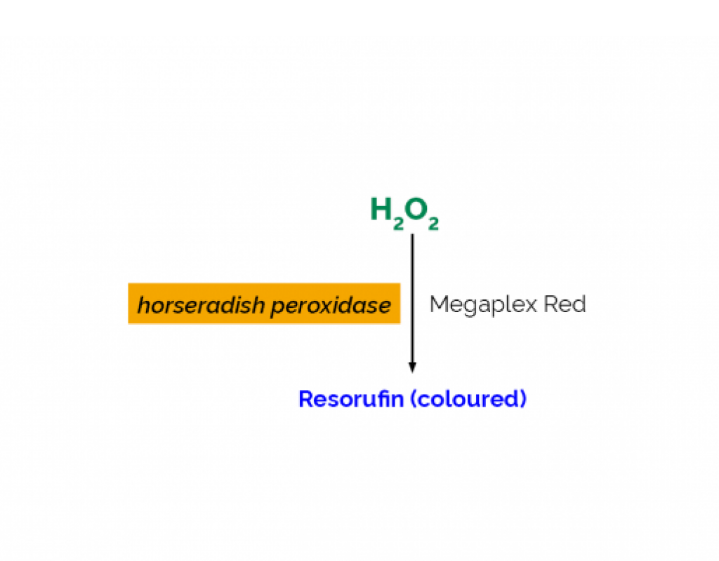 Nouveau kit de dosage du Peroxyde d\'hydrogène (Format Megaplex Red)